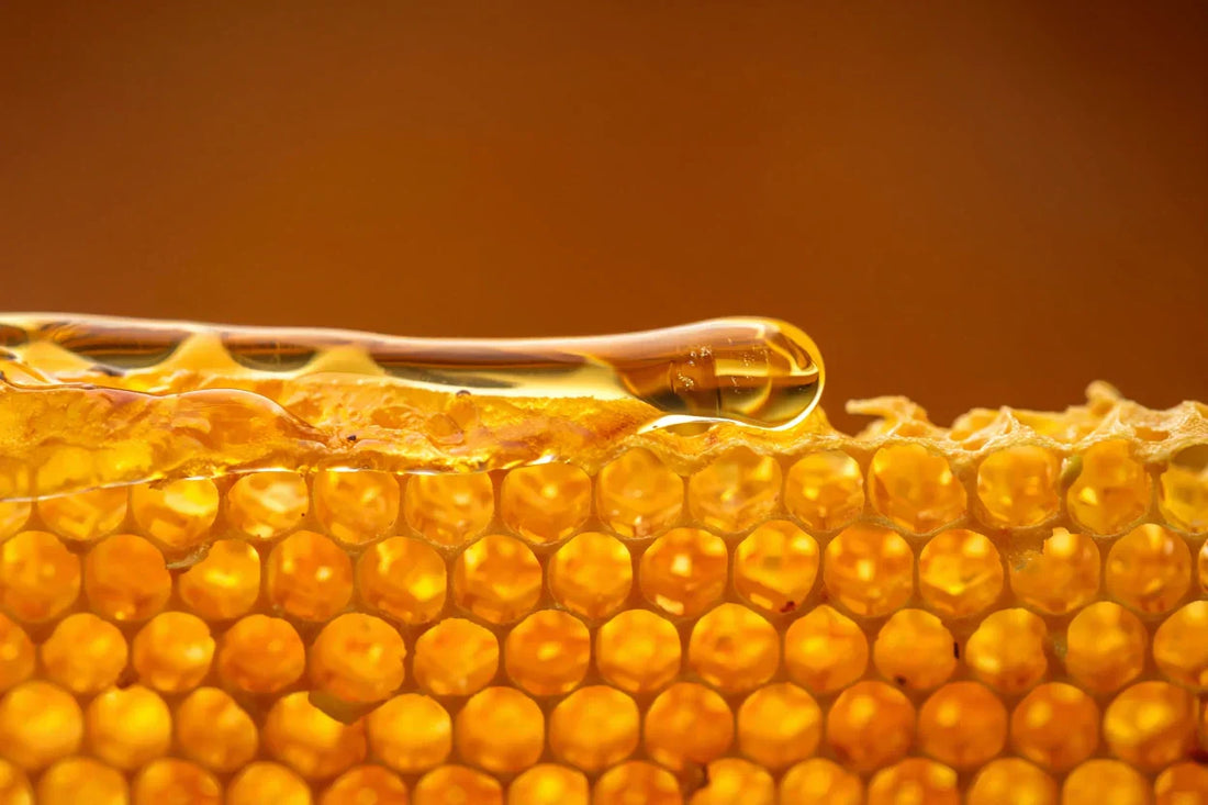 Honey dripping - natural hydration ingredient for dry skin with Fuller's Earth clay masks