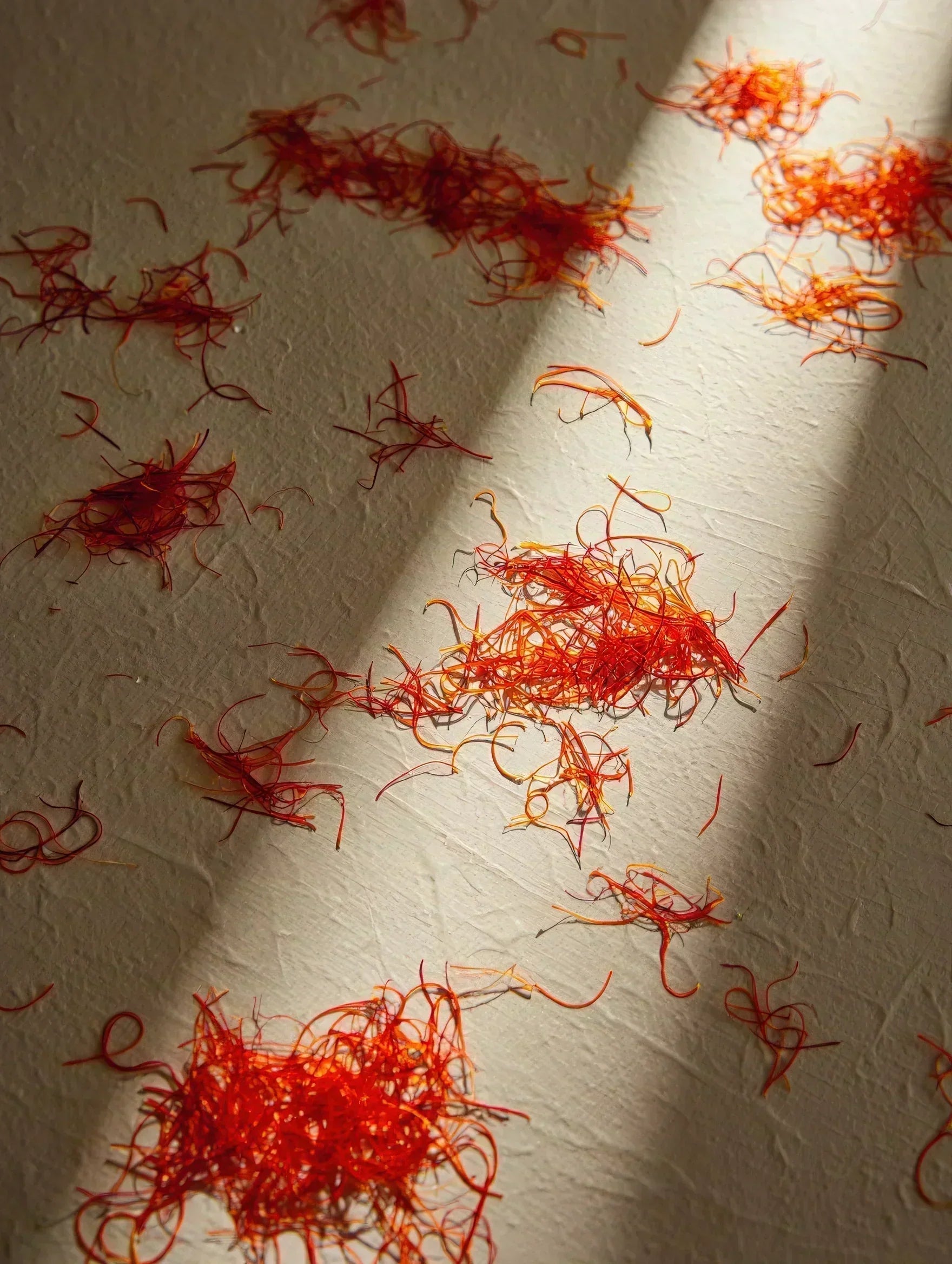 Red Gold: The Luxurious Science of Saffron in Skincare