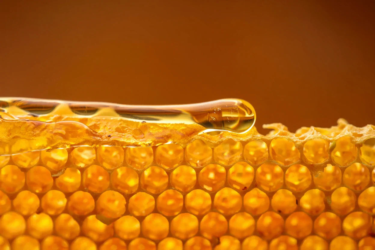 Honey dripping - natural hydration ingredient for dry skin with Fuller's Earth clay masks