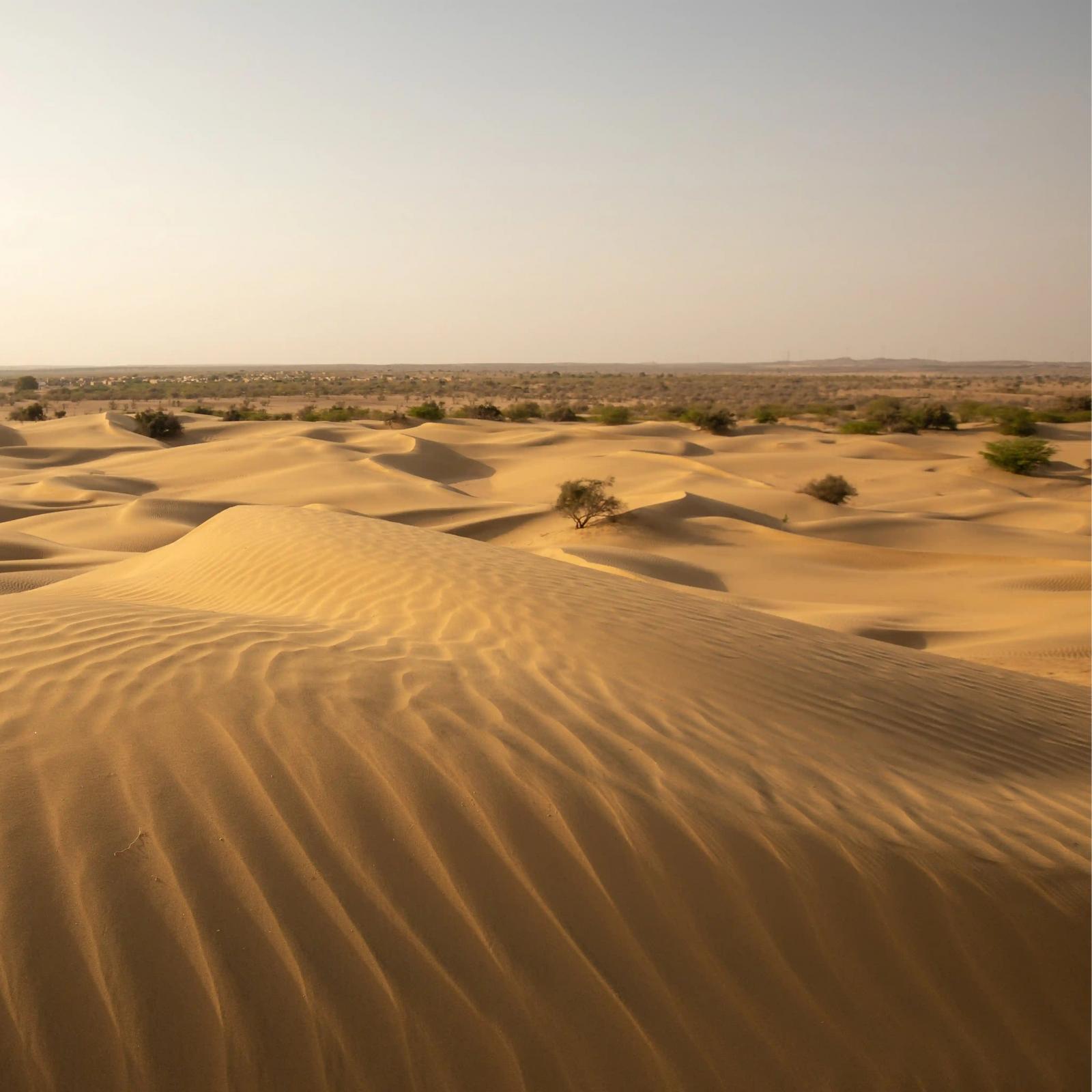 The Source of Our Clay