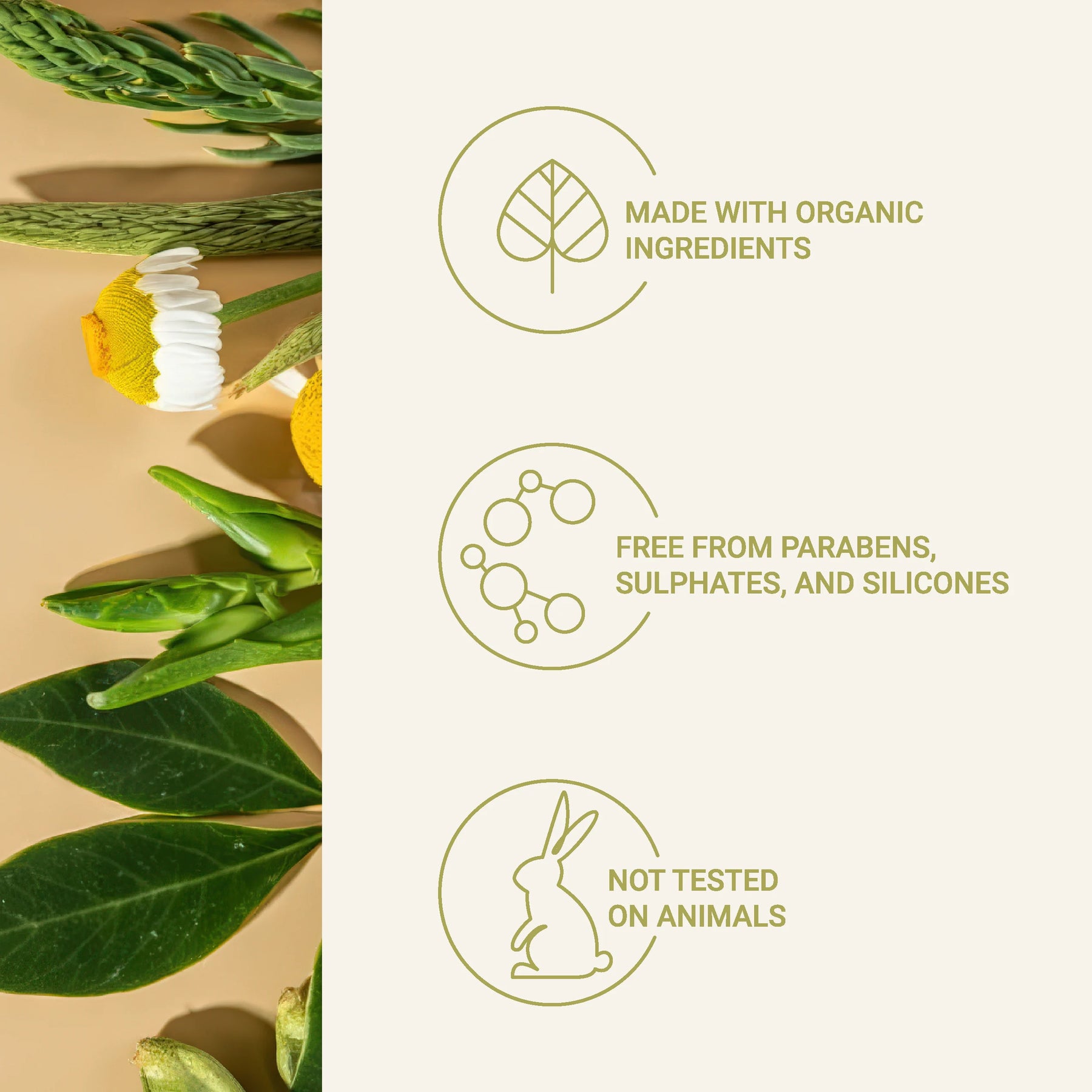 Oasis Sands Clay Mask