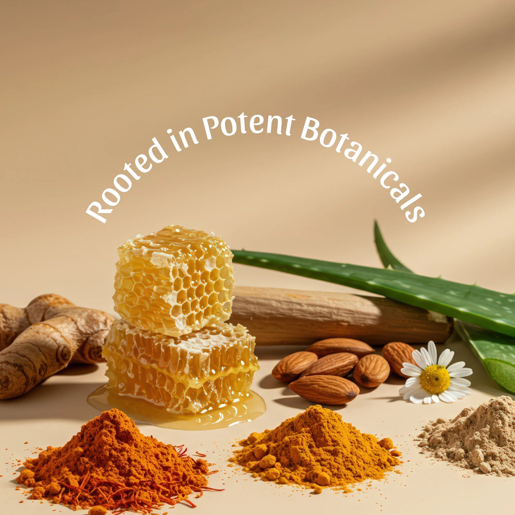 Fuller's Earth Clay Mask Trio Sampler