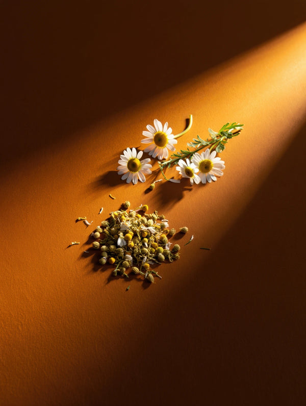 Chamomile