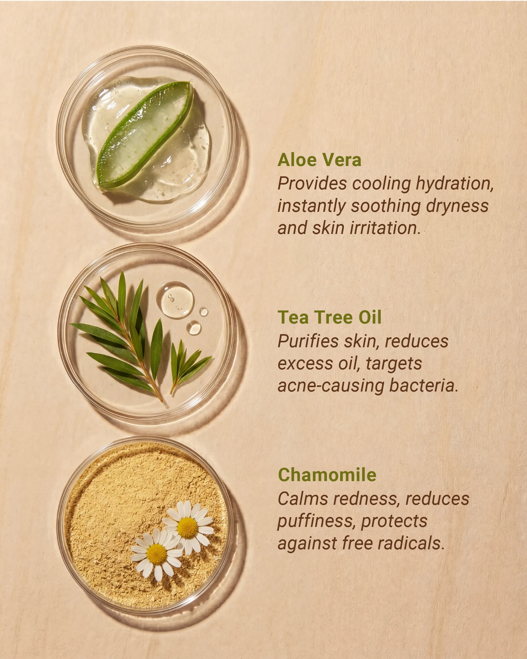 Deconstructed Oasis Sands ingredients include fresh aloe gel, chamomile, and tea tree, showcasing the power of Fuller's Earth clay.