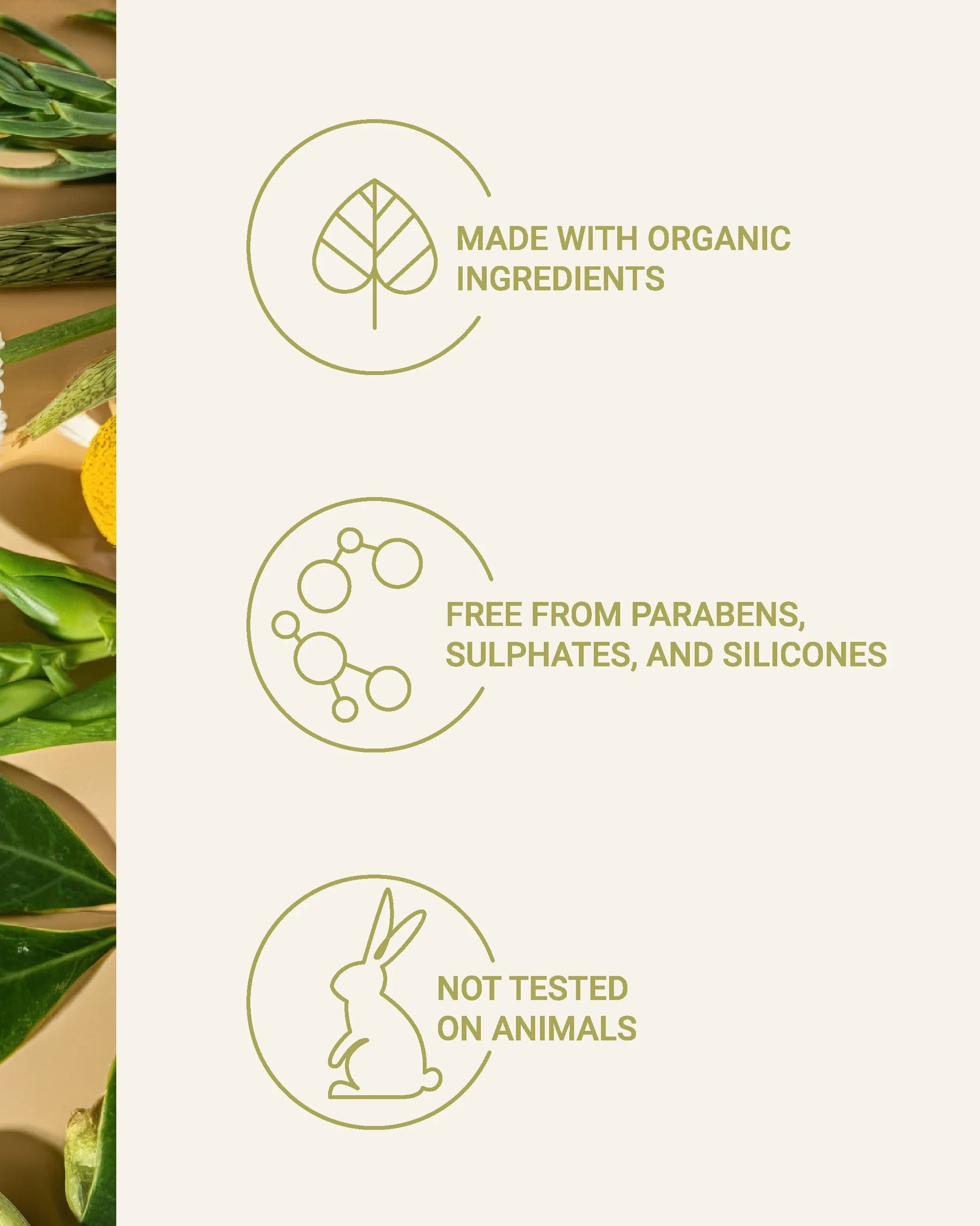 Oasis Sands mask standards: Vegan, cruelty-free, and formulated for acne-prone skin.